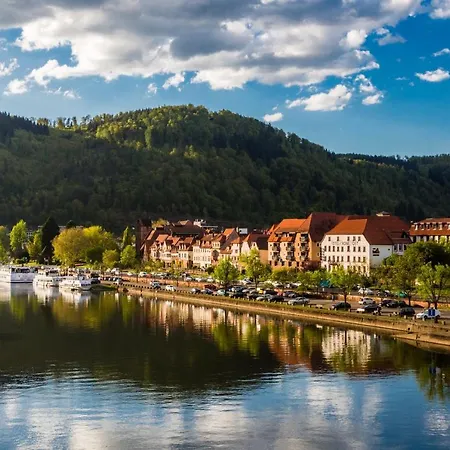 Hideaway Im Odenwald Nahe Heidelberg Appartement Eberbach  Buitenkant foto
